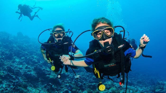Divemed - dive centre and underwater film unit in Marsascala, photo 1
