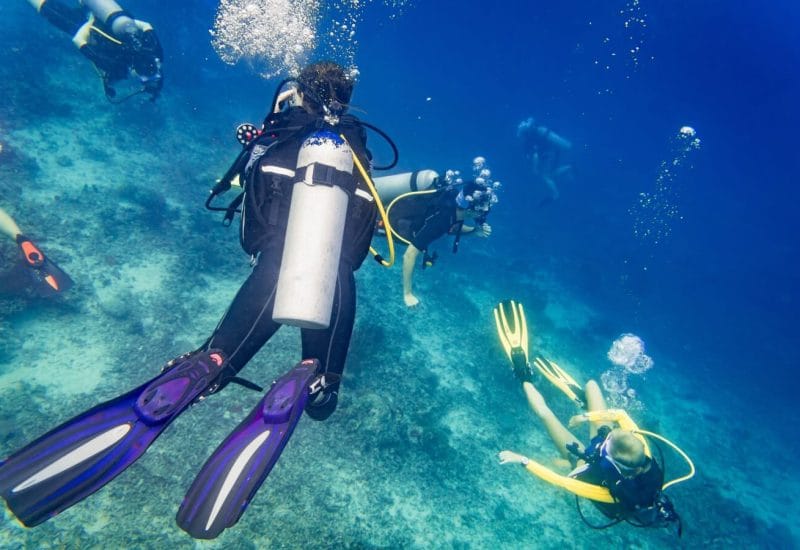 DS Divers Malta - padi dive courses and guided dives in St Paul's Bay, photo 1