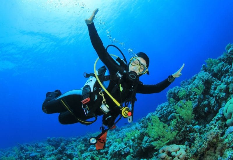 DS Divers Malta - padi dive courses and guided dives in St Paul's Bay, photo 2