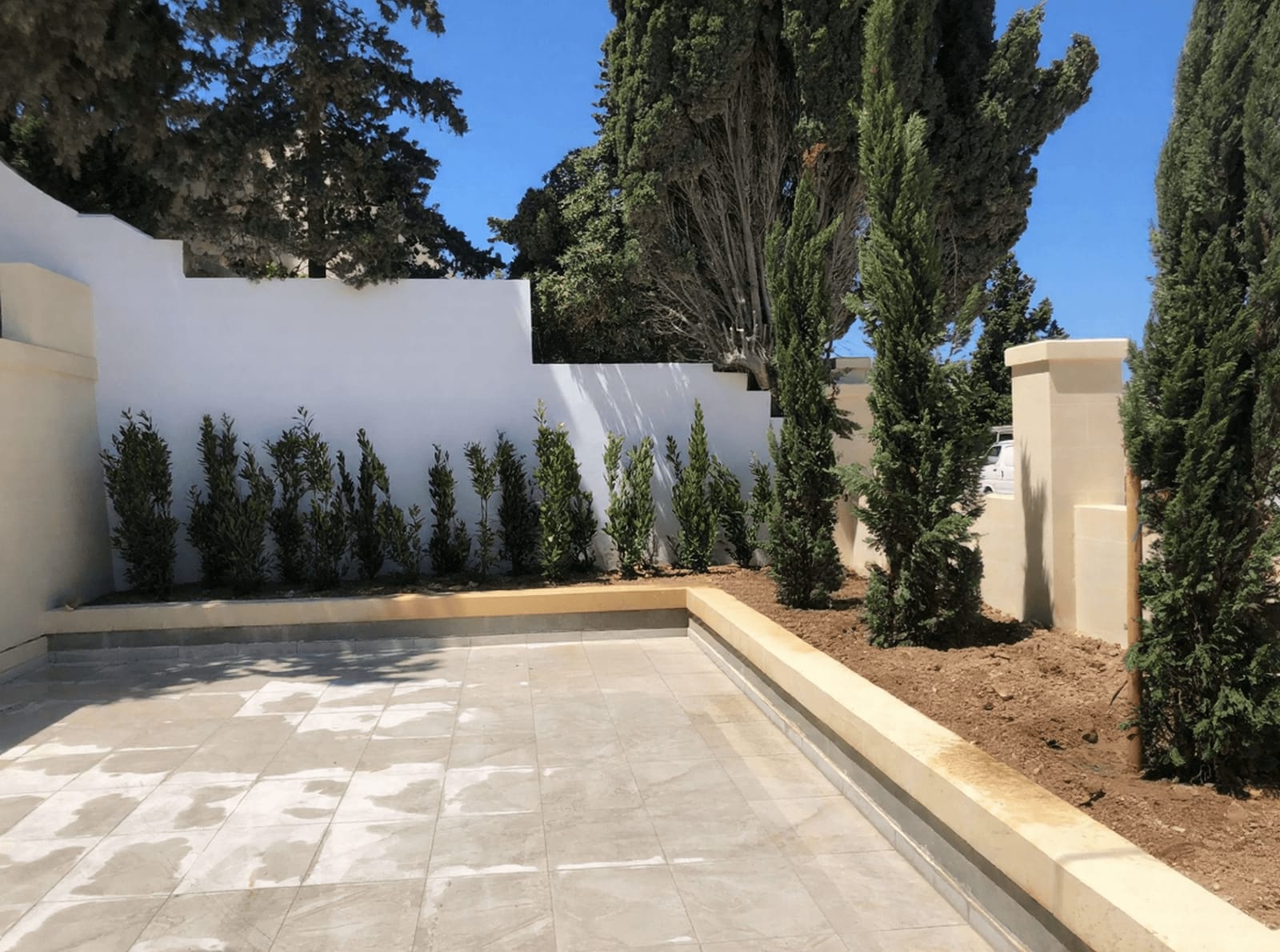 E.Attard Nurseries - landscaping and olive tree nursery in Dingli, photo 4