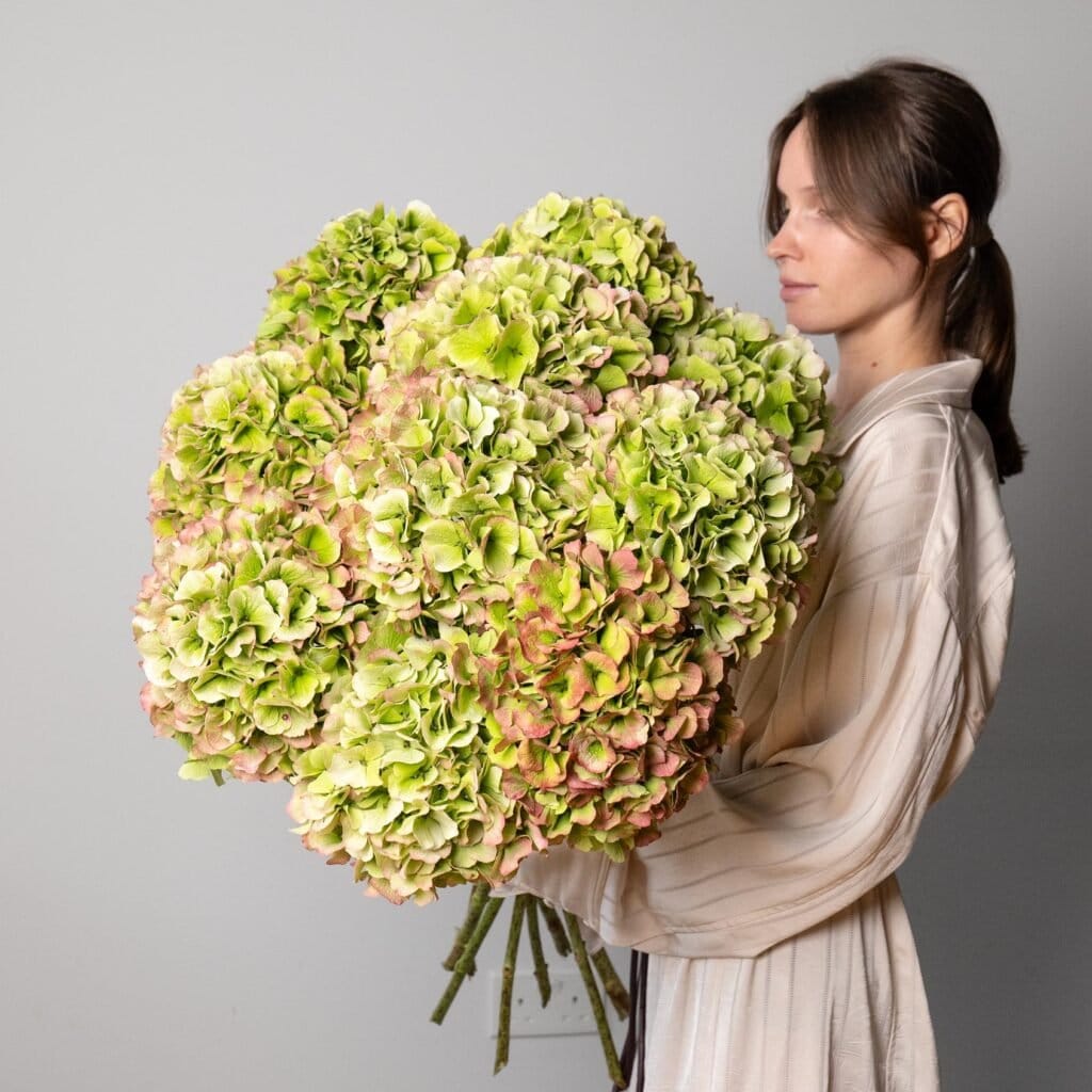 Elrose Flowers - online florist with same-day delivery in Santa Venera, photo 2