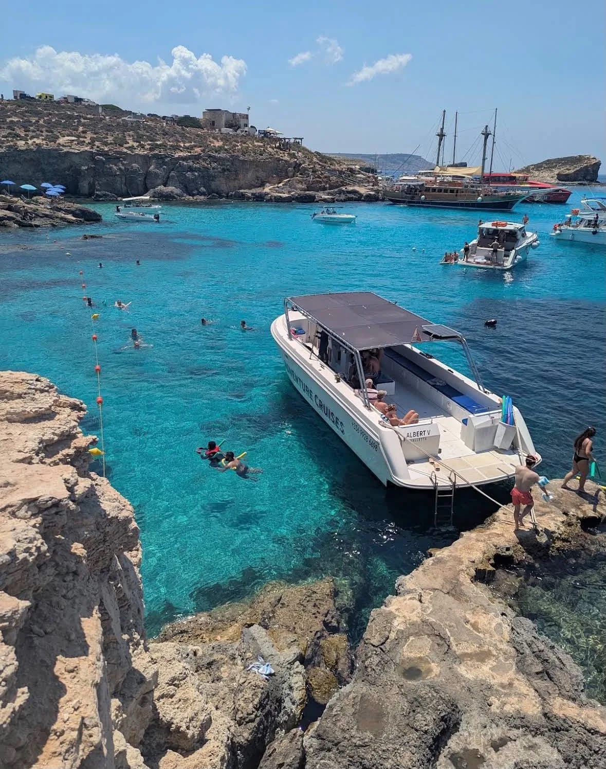 Elvis Tours Malta - boat trips to comino and blue lagoon in Sliema, photo 6