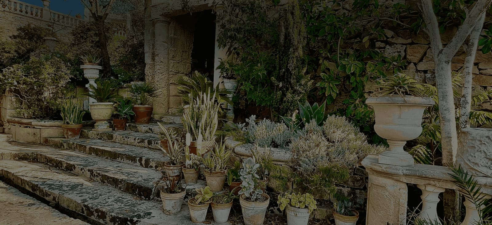 Villa Frere - historic neoclassical garden and open days in Pietà, photo 2