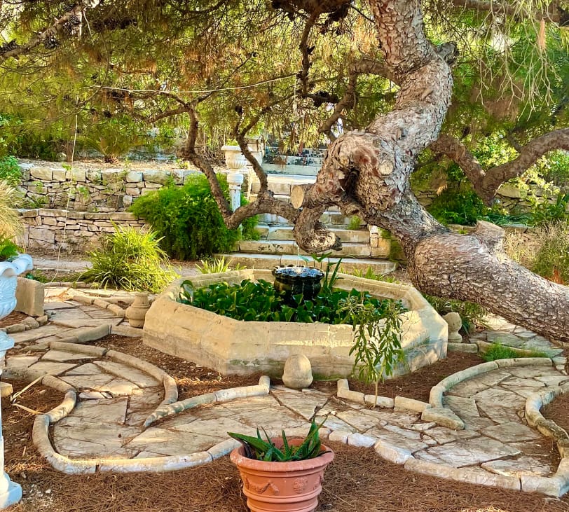 Villa Frere - historic neoclassical garden and open days in Pietà, photo 3