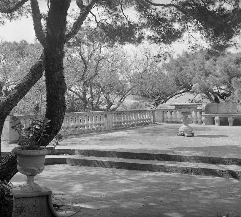 Villa Frere - historic neoclassical garden and open days in Pietà, photo 4