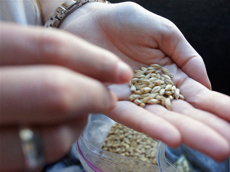 Good Earth - natural and organic food importer in St Julian's, photo 2