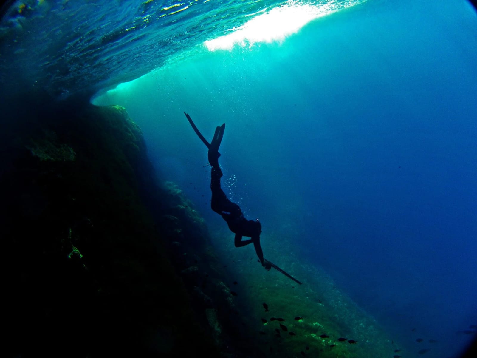Gozo Freedivers - freediving and spearfishing centre in In-Nadur, photo 6