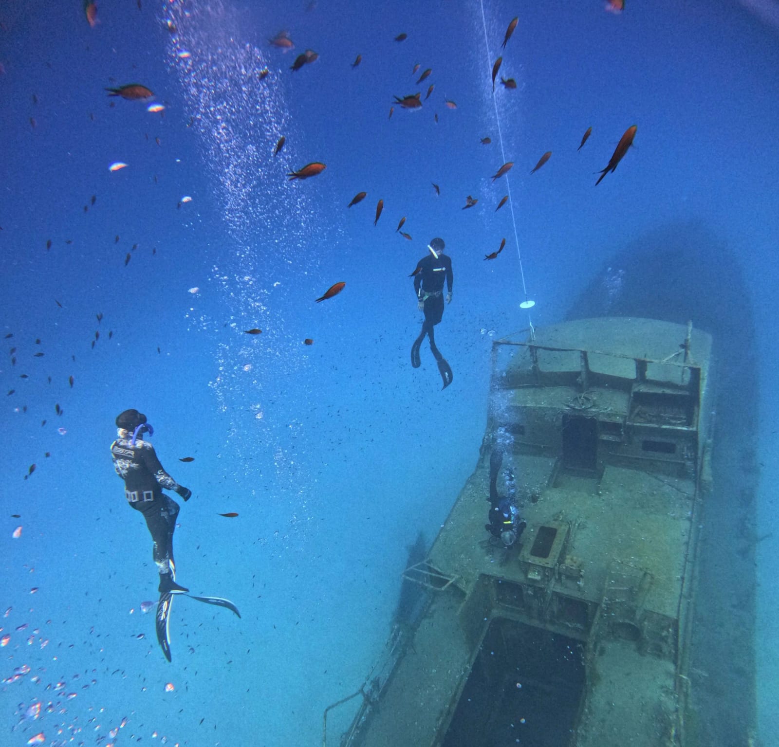 Gozo Freedivers - freediving and spearfishing centre in In-Nadur, photo 9