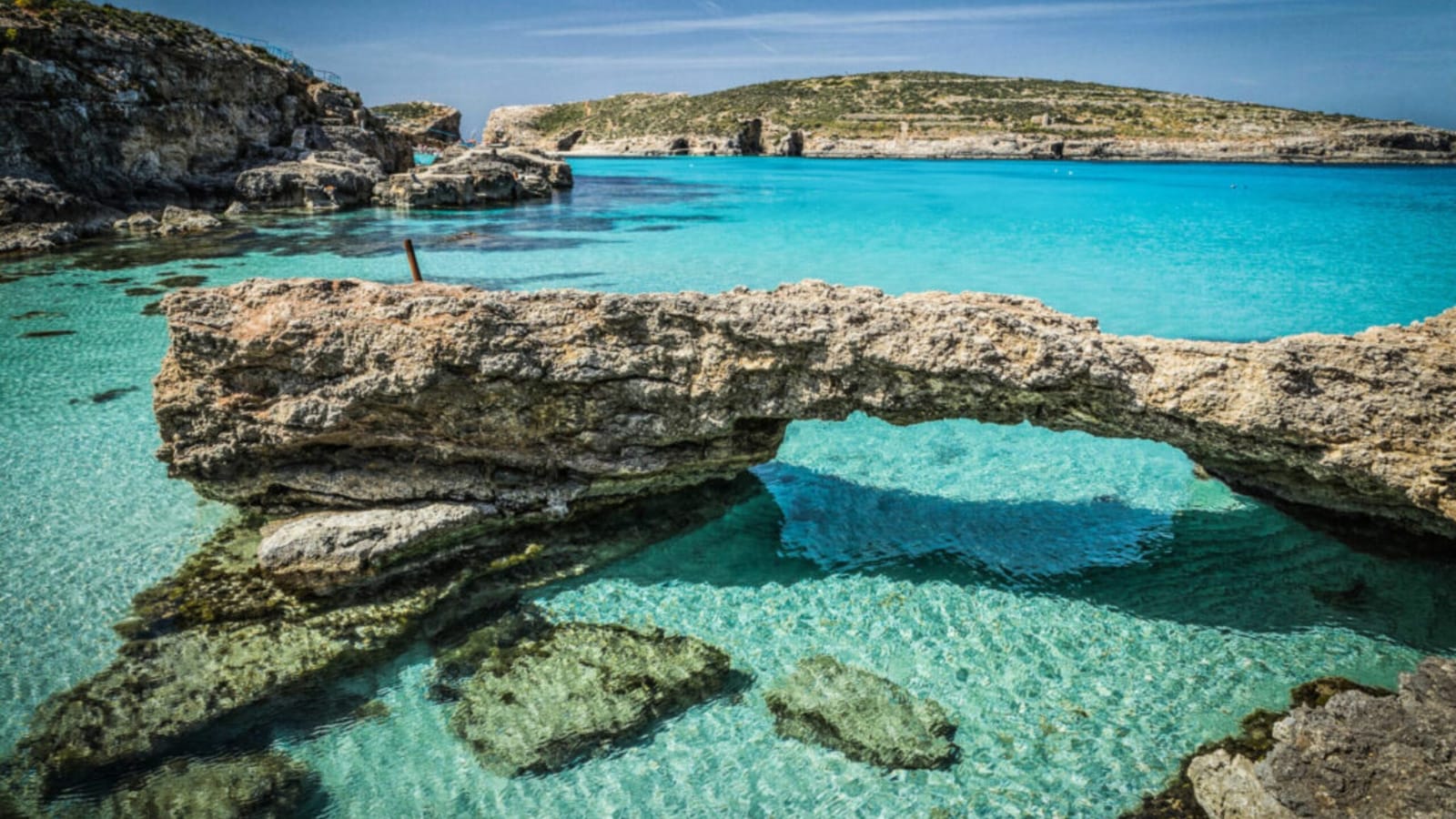GOZOblu - private boat tours, comino and gozo in Għajnsielem, photo 10