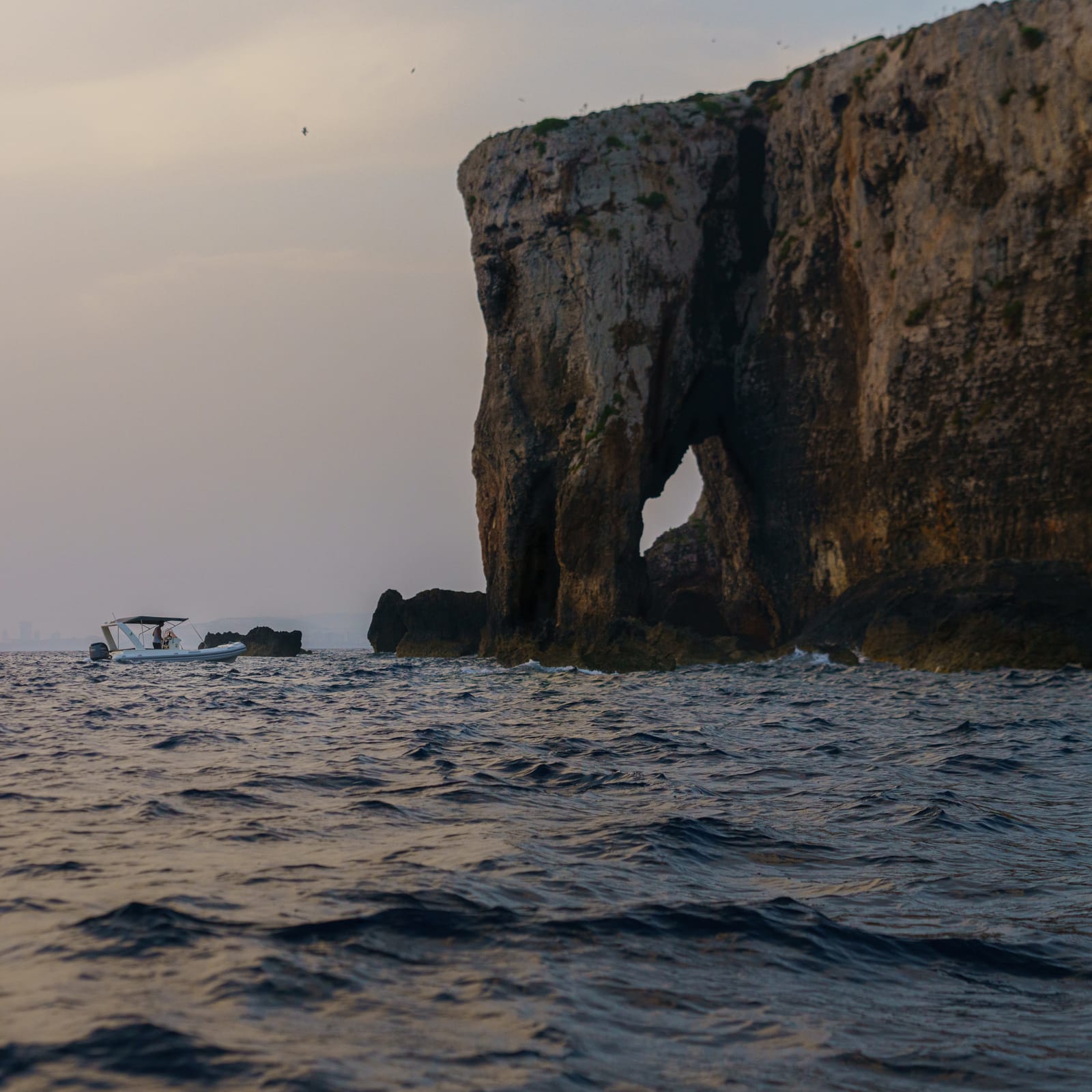 GOZOblu - private boat tours, comino and gozo in Għajnsielem, photo 15