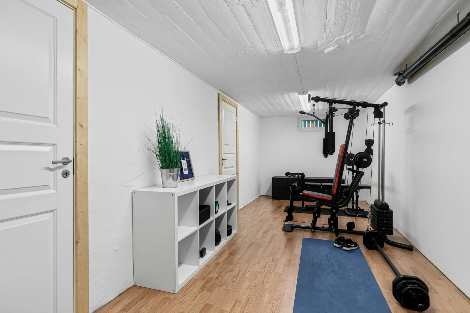 Malta Gym Solutions - gym equipment supplier in Valletta, photo 2