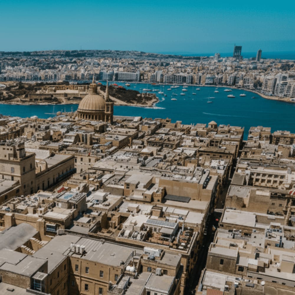 The Web Ally - web, app and software development in Siġġiewi, photo 2