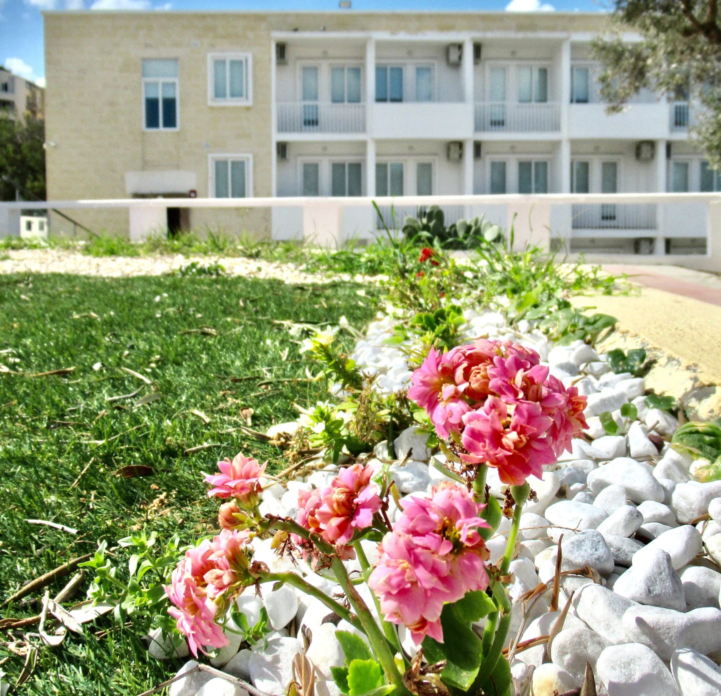 Leptis International School - british curriculum international school in San Ġiljan, photo 5