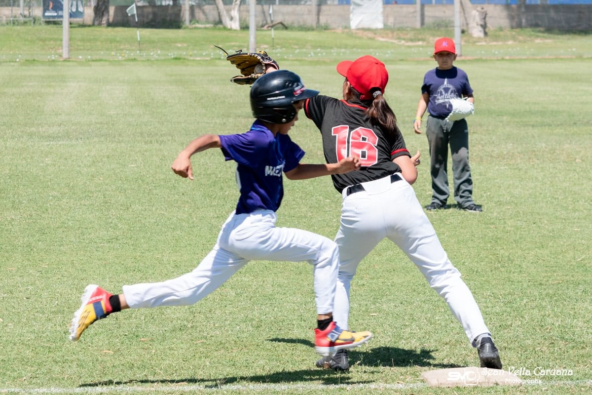 Malta Baseball and Softball Association - national baseball and softball association in Marsa, photo 2