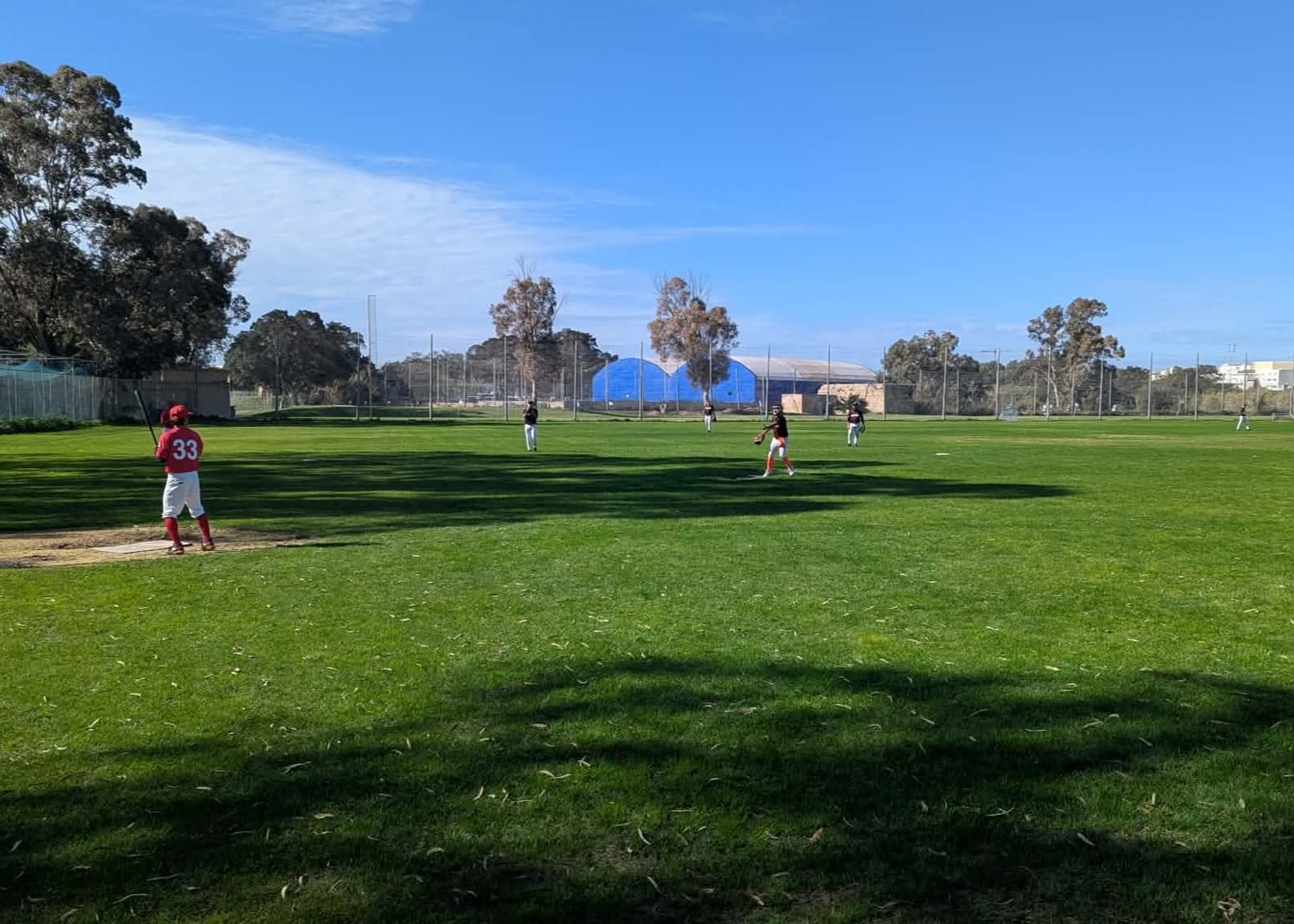 Malta Baseball and Softball Association - national baseball and softball association in Marsa, photo 7