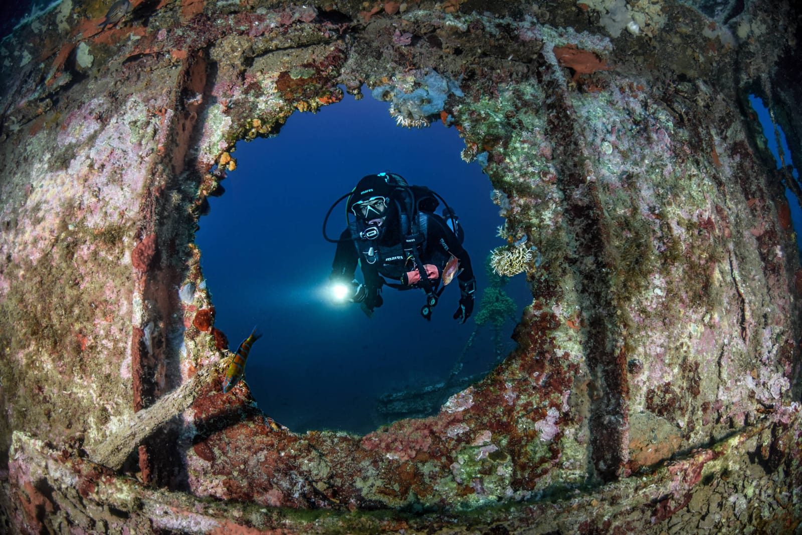 Malta Blue Diving - scuba diving centre and school in Sliema, photo 2