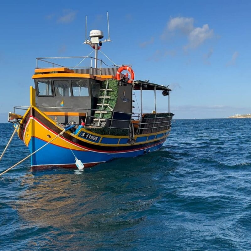Malta Boat Rent - private boat and yacht charters in Swieqi, photo 6