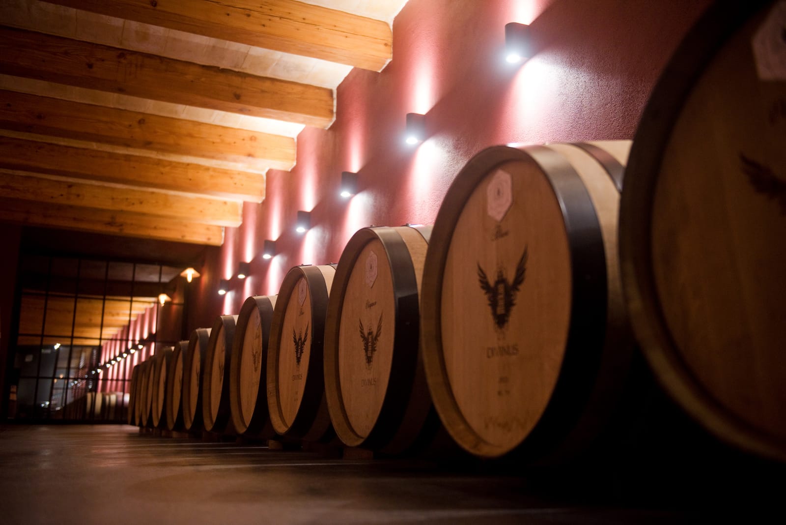 Markus Divinus - boutique winery and tastings in Dingli, photo 1