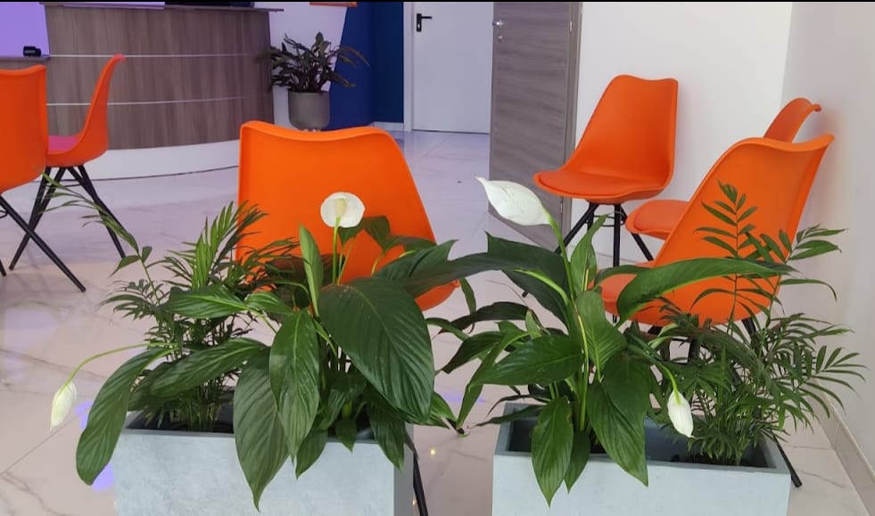 Mediatrix Dental Clinic - family dental clinic and implants in Qormi, photo 2