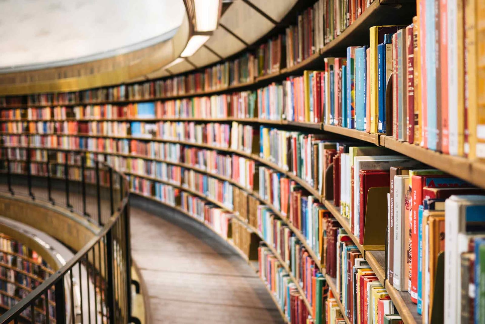 Midsea Books - maltese publisher and online bookshop in Santa Venera, photo 1