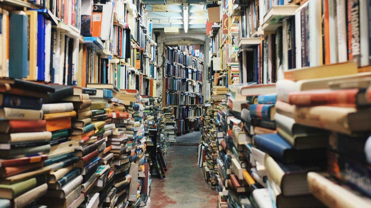 Midsea Books - maltese publisher and online bookshop in Santa Venera, photo 2