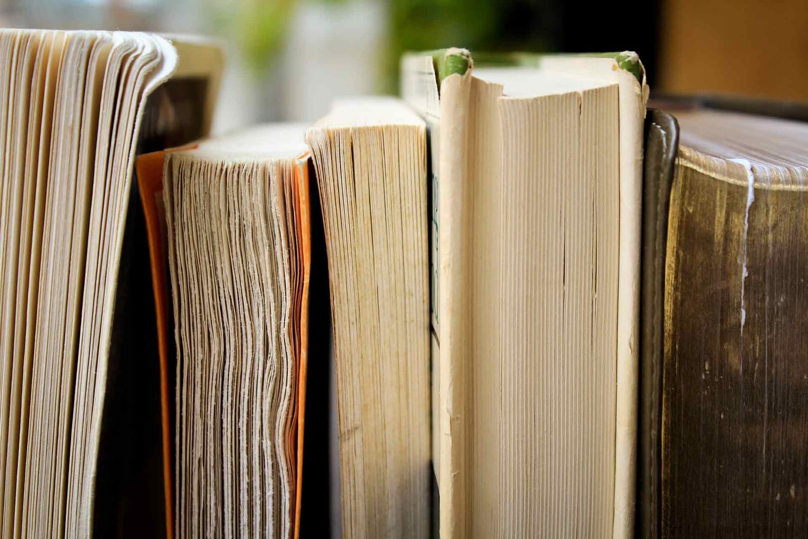 Midsea Books - maltese publisher and online bookshop in Santa Venera, photo 5