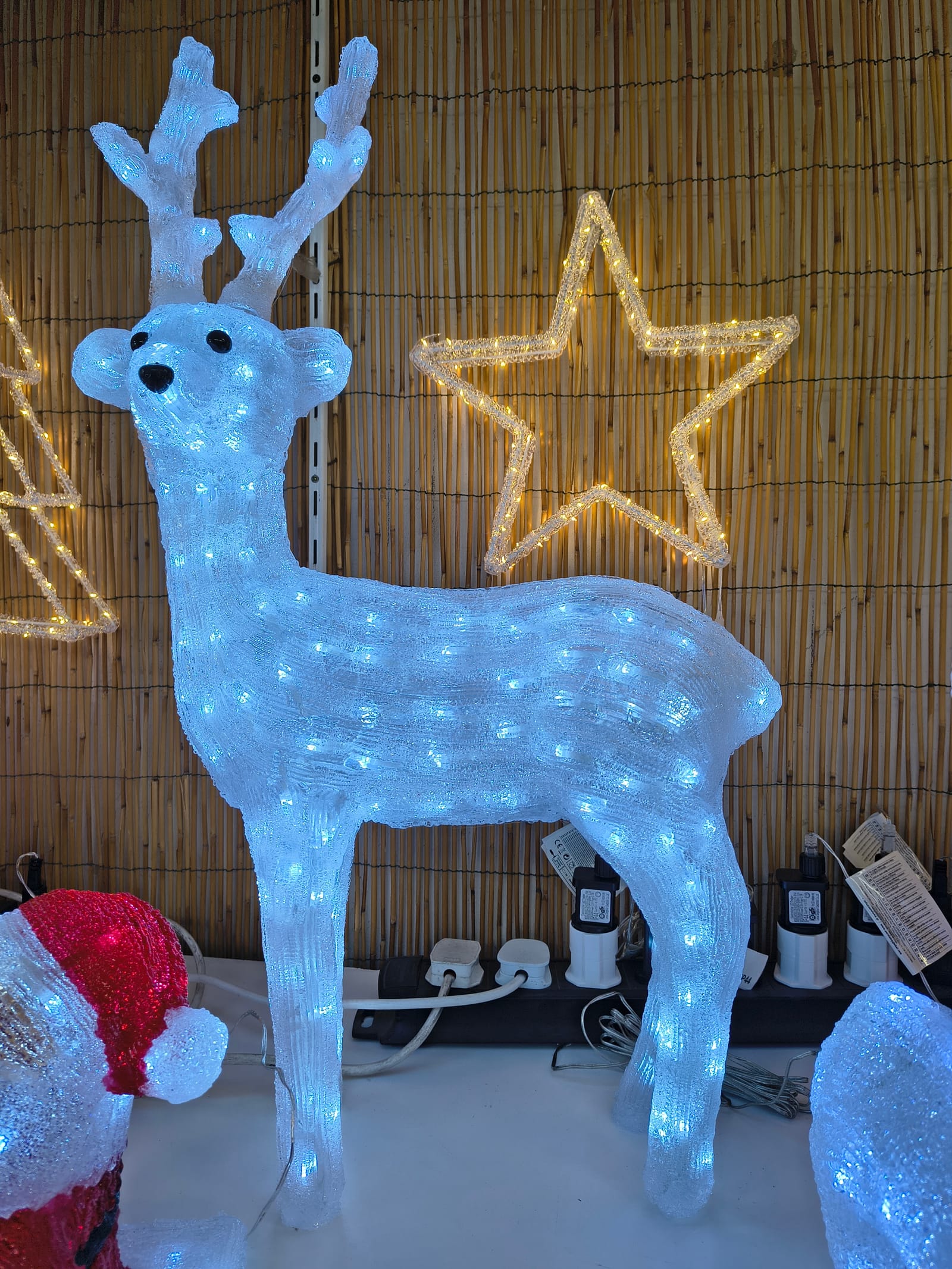 Muscat Flora - pet and garden centre in Santa Venera, photo 4