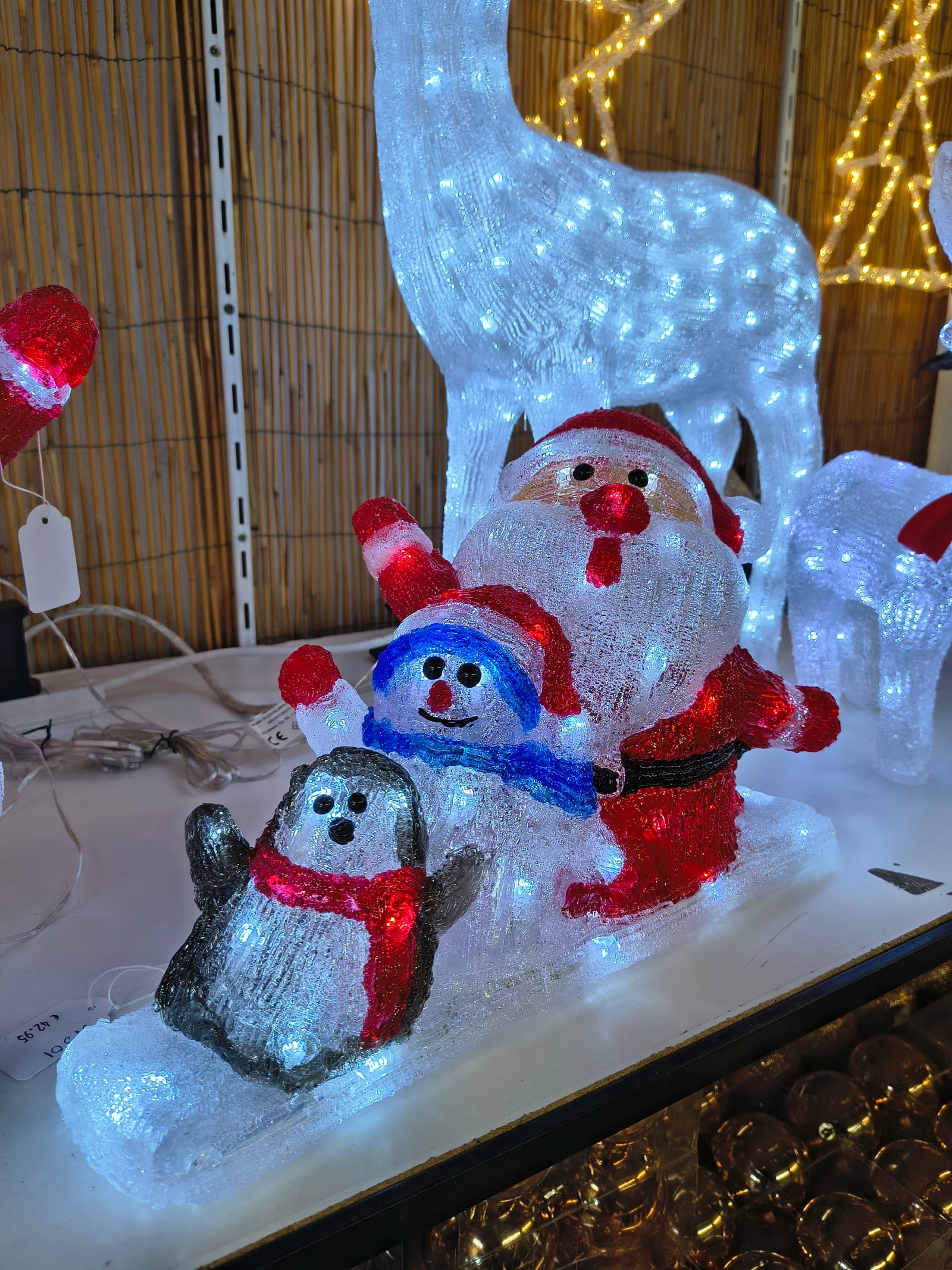 Muscat Flora - pet and garden centre in Santa Venera, photo 5