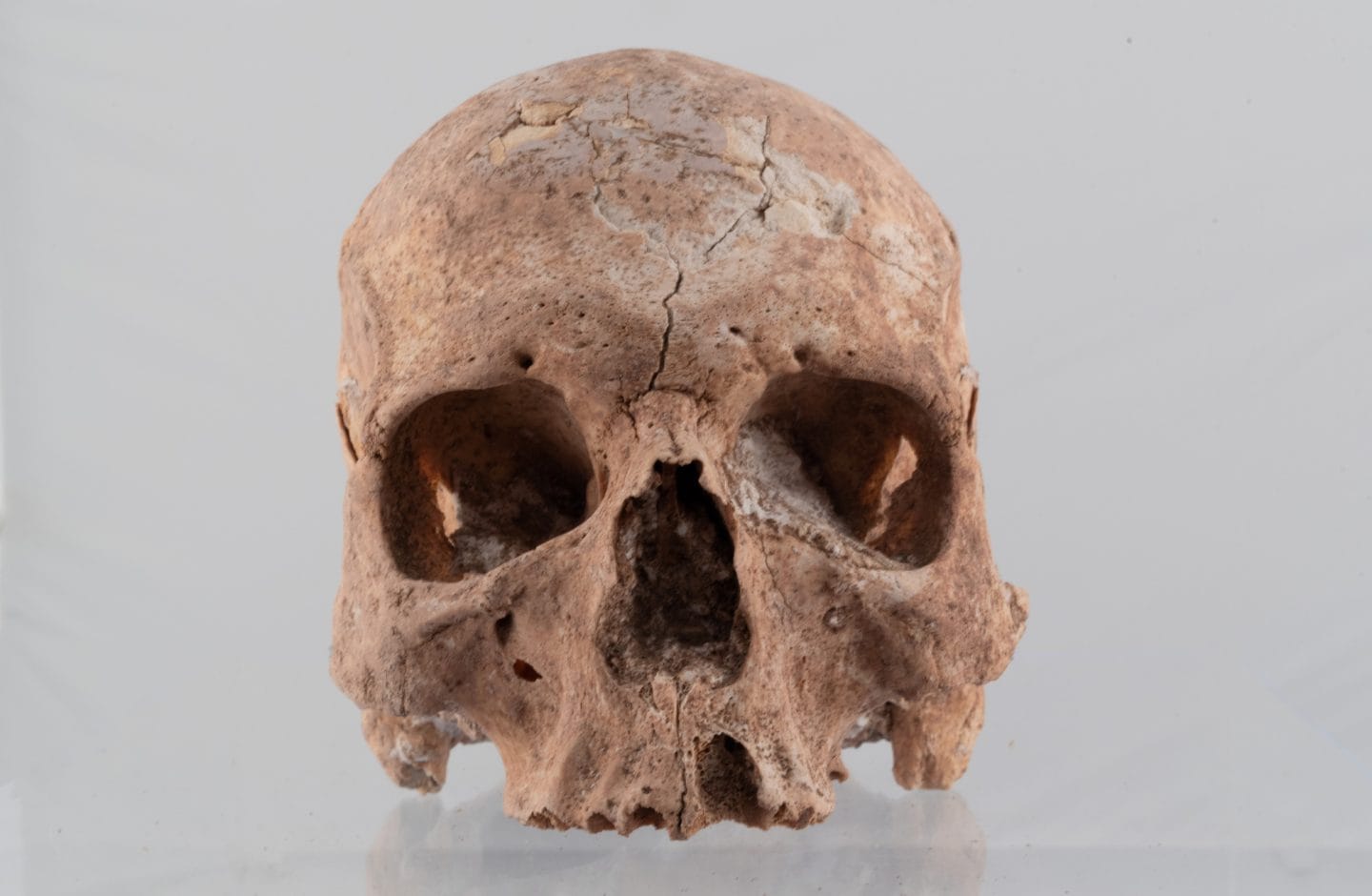 National Museum of Archaeology - prehistory and archaeology museum in Valletta, photo 10