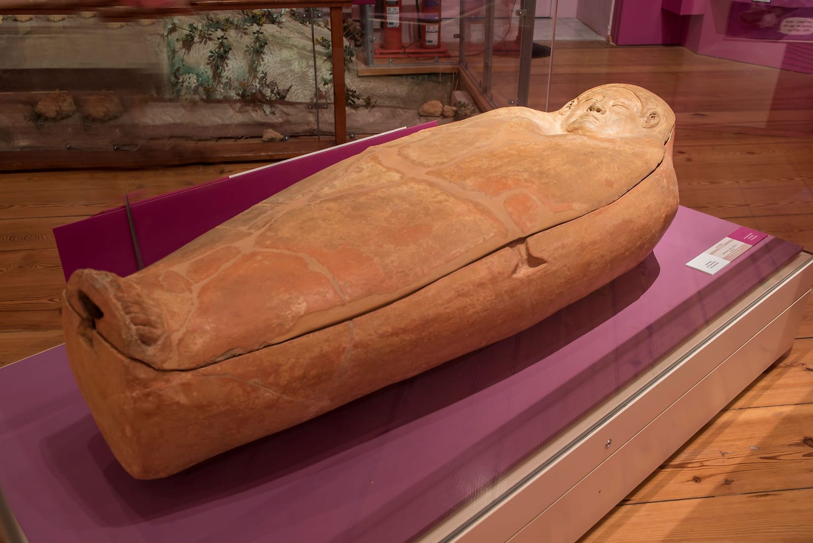 National Museum of Archaeology - prehistory and archaeology museum in Valletta, photo 3