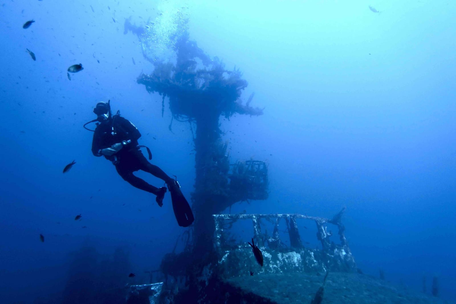 OK Diving Malta - padi and ssi dive school in St Paul's Bay, photo 7