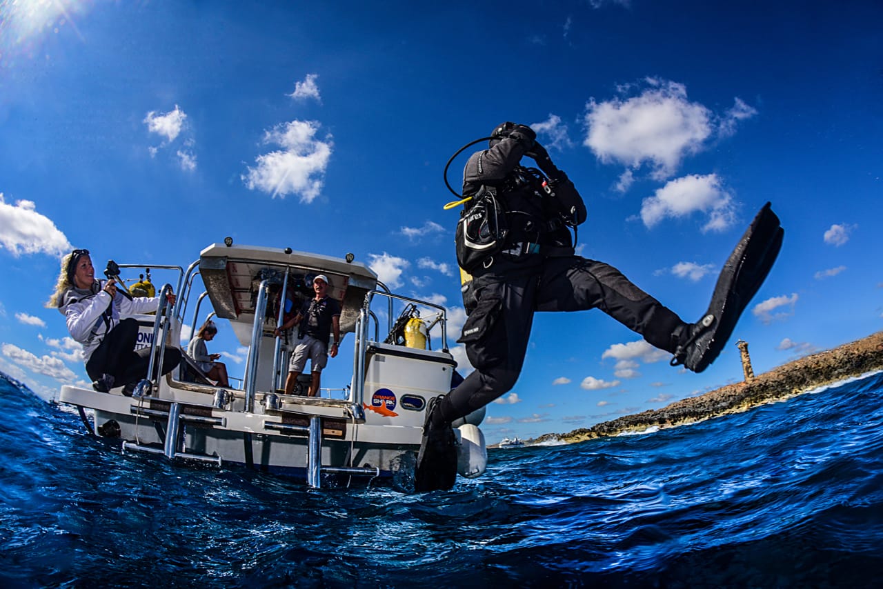 OrangeShark Diving Centre - padi dive centre and courses in Mellieħa, photo 1