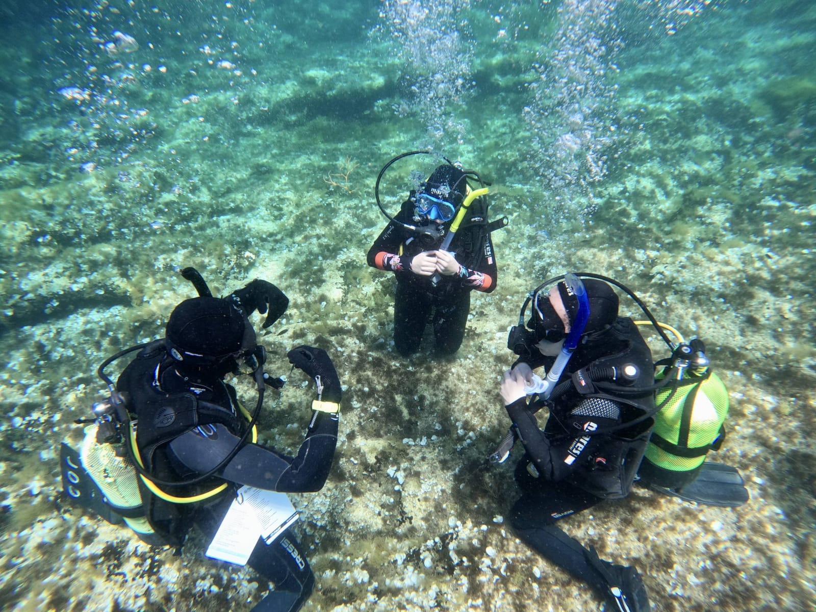 OrangeShark Diving Centre - padi dive centre and courses in Mellieħa, photo 10