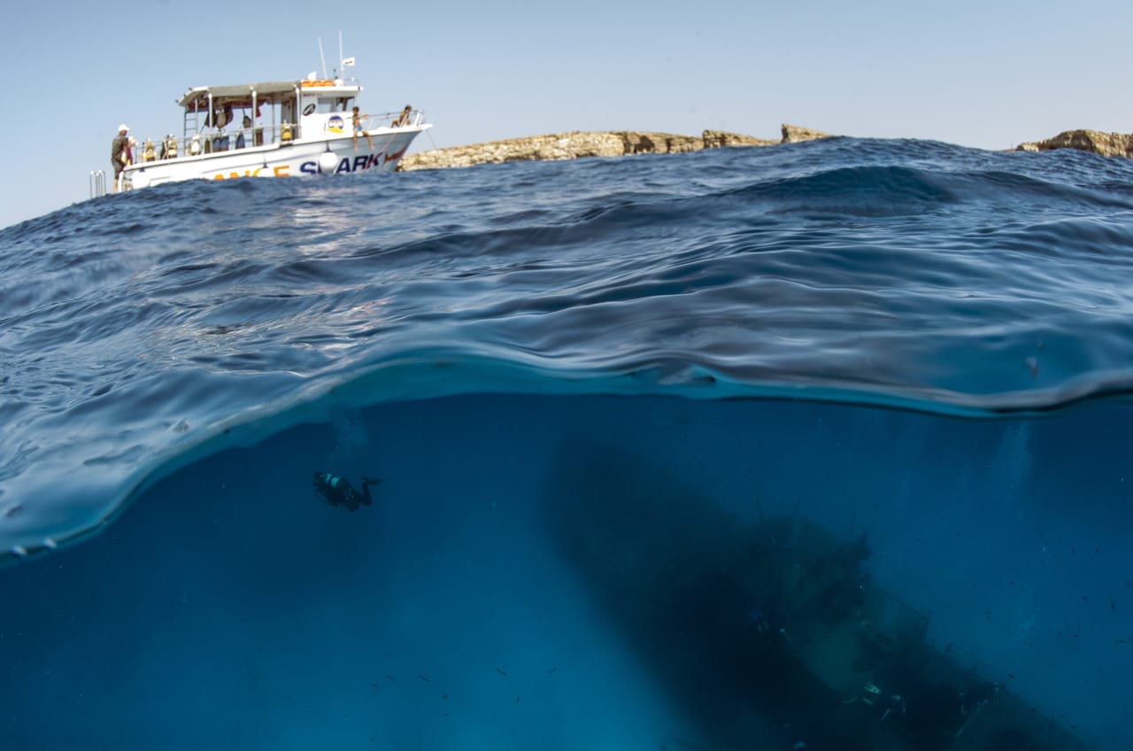 OrangeShark Diving Centre - padi dive centre and courses in Mellieħa, photo 12