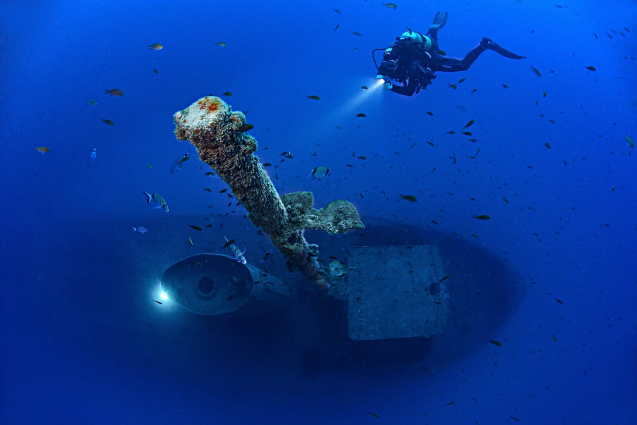 OrangeShark Diving Centre - padi dive centre and courses in Mellieħa, photo 3