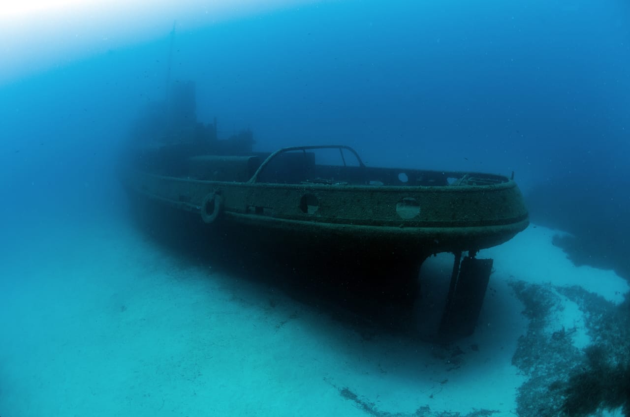 OrangeShark Diving Centre - padi dive centre and courses in Mellieħa, photo 6