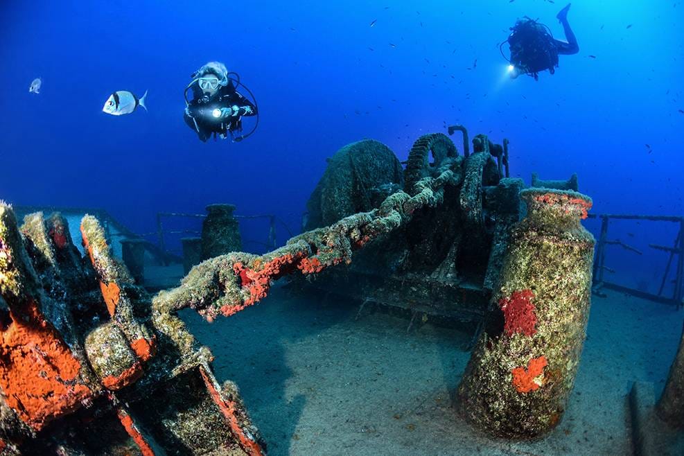 OrangeShark Diving Centre - padi dive centre and courses in Mellieħa, photo 9