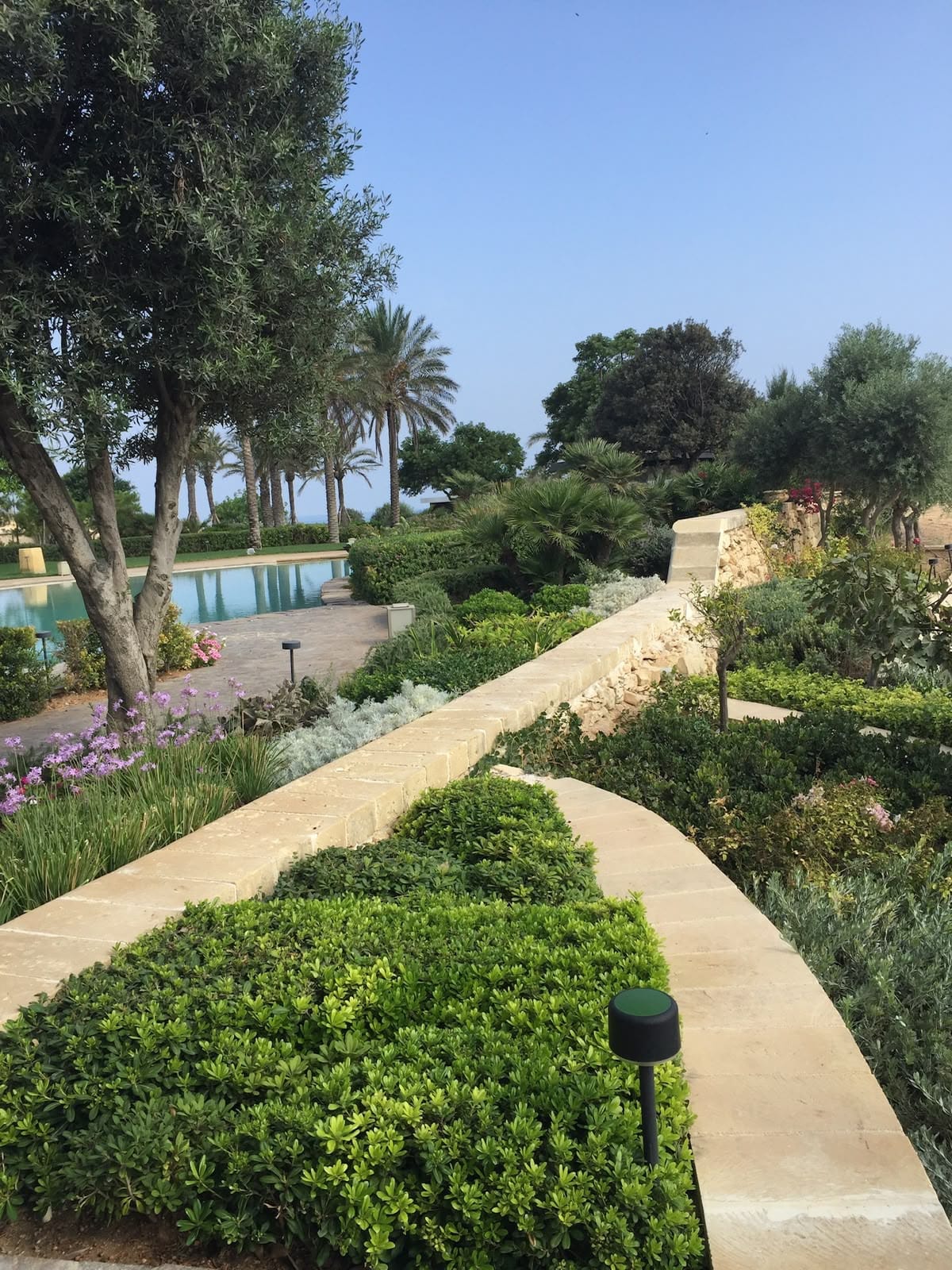 Palace Garden Centre - garden centre and landscaping in Attard, photo 10