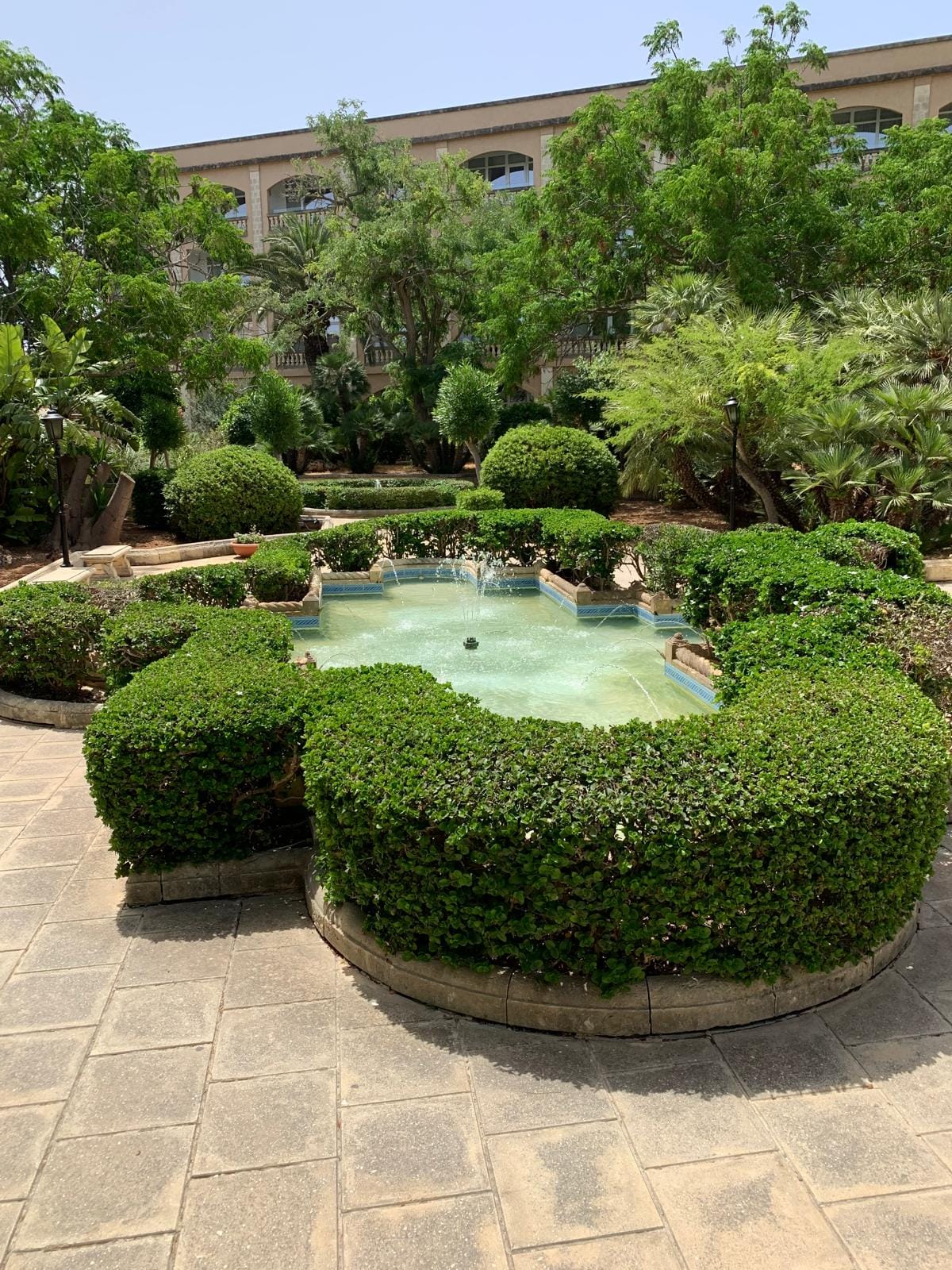 Palace Garden Centre - garden centre and landscaping in Attard, photo 11