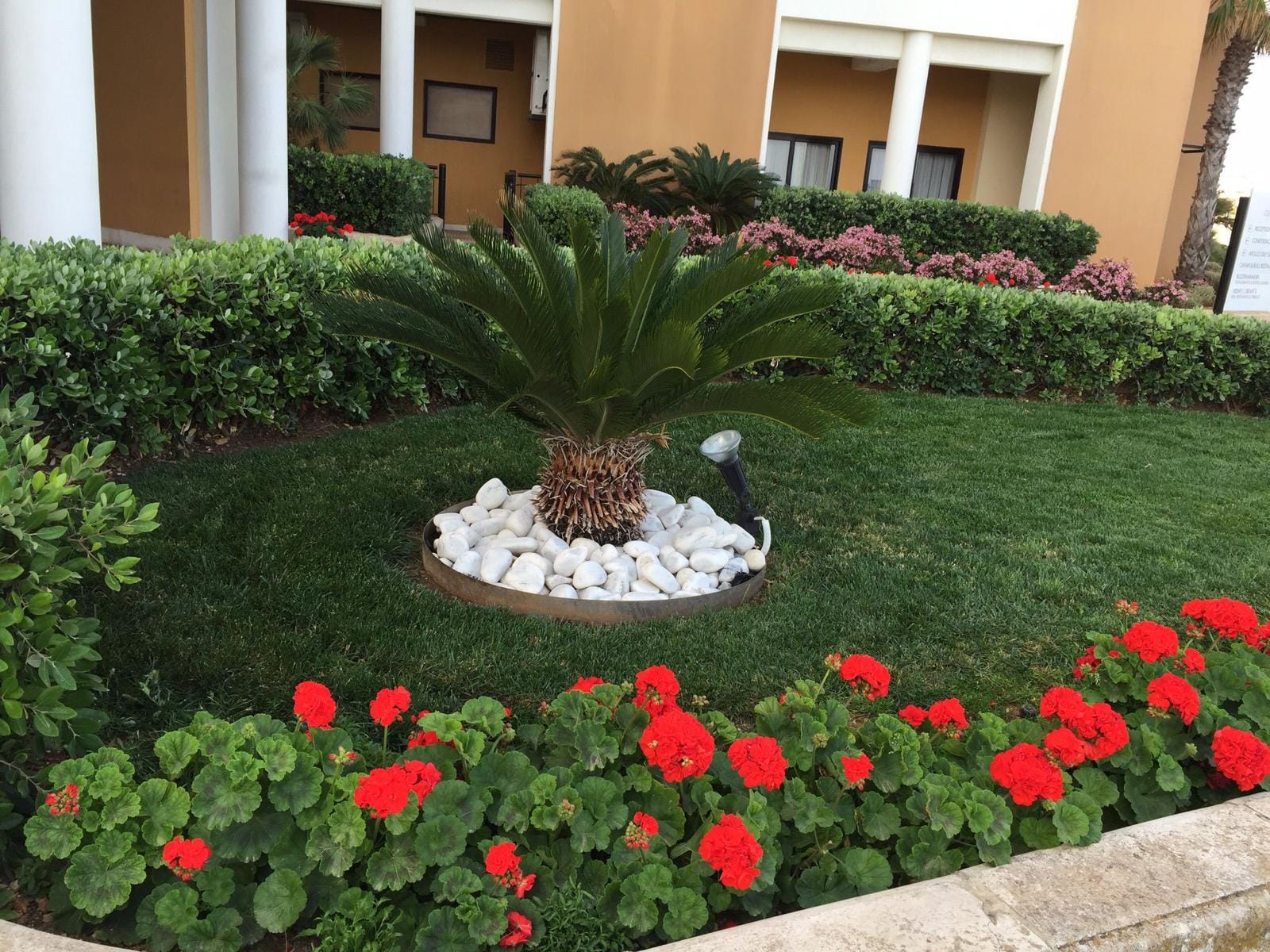Palace Garden Centre - garden centre and landscaping in Attard, photo 12