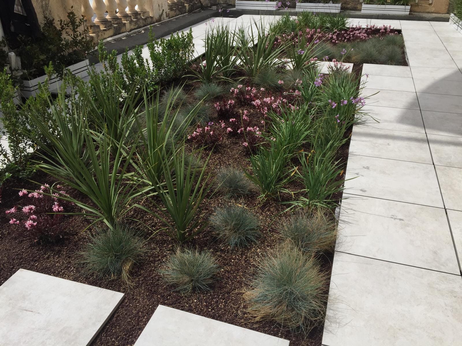 Palace Garden Centre - garden centre and landscaping in Attard, photo 13