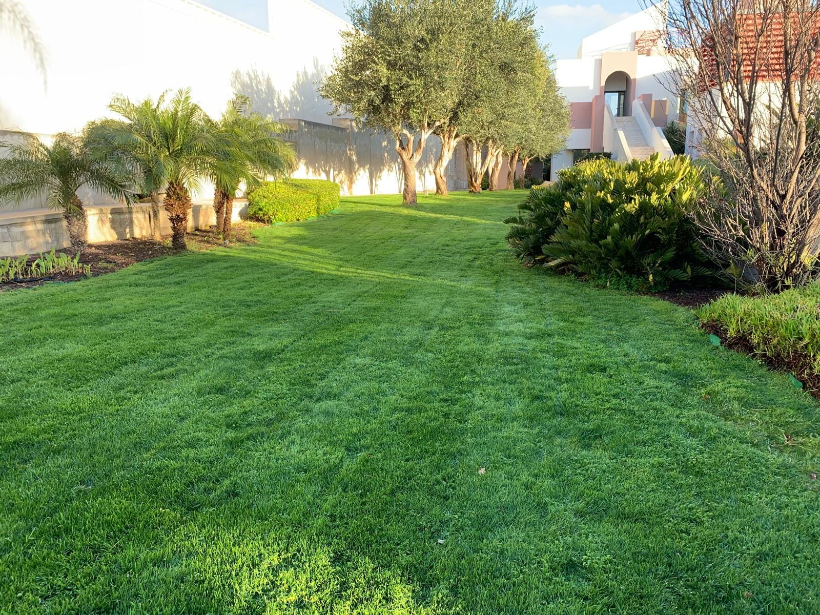 Palace Garden Centre - garden centre and landscaping in Attard, photo 14