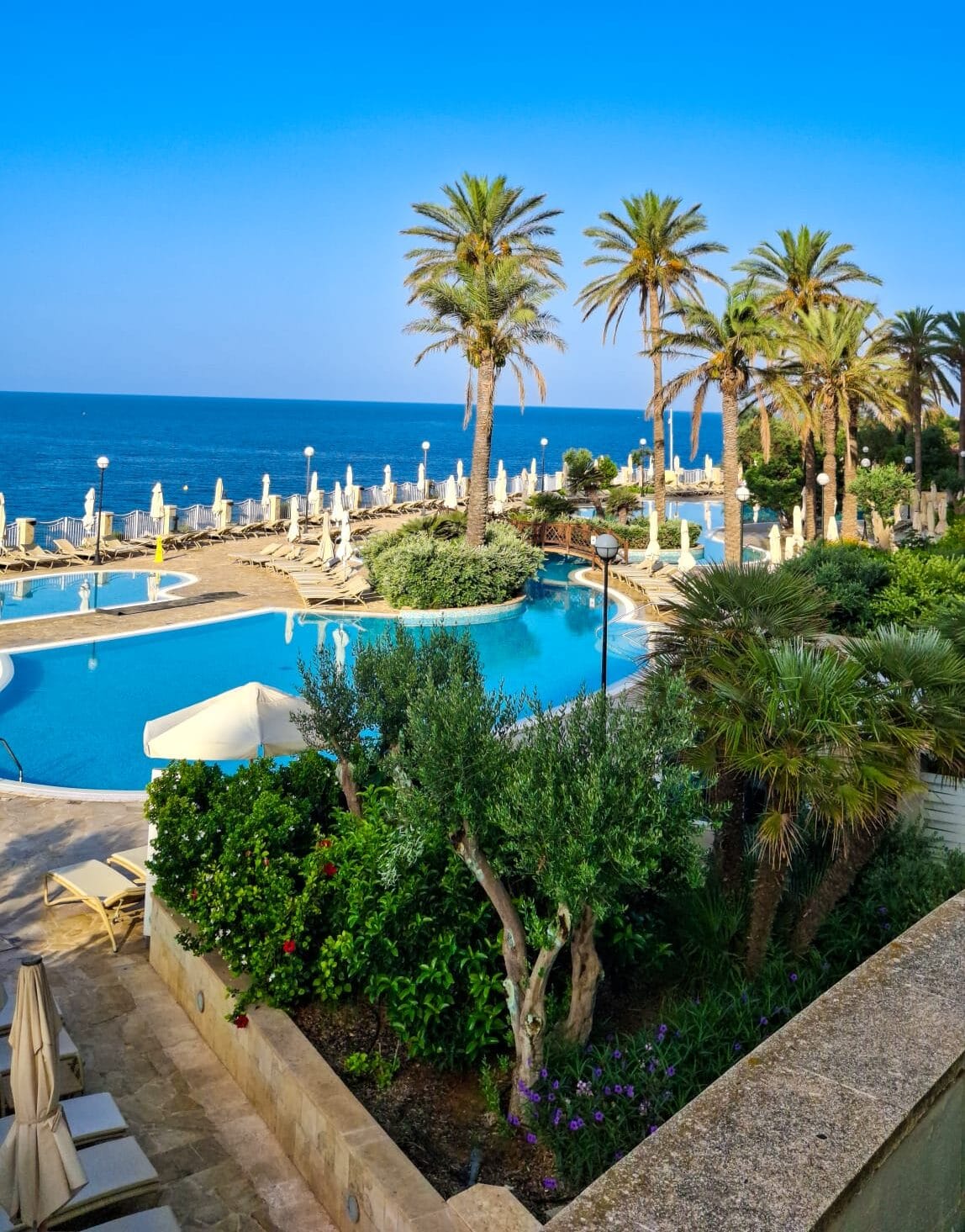Palace Garden Centre - garden centre and landscaping in Attard, photo 16