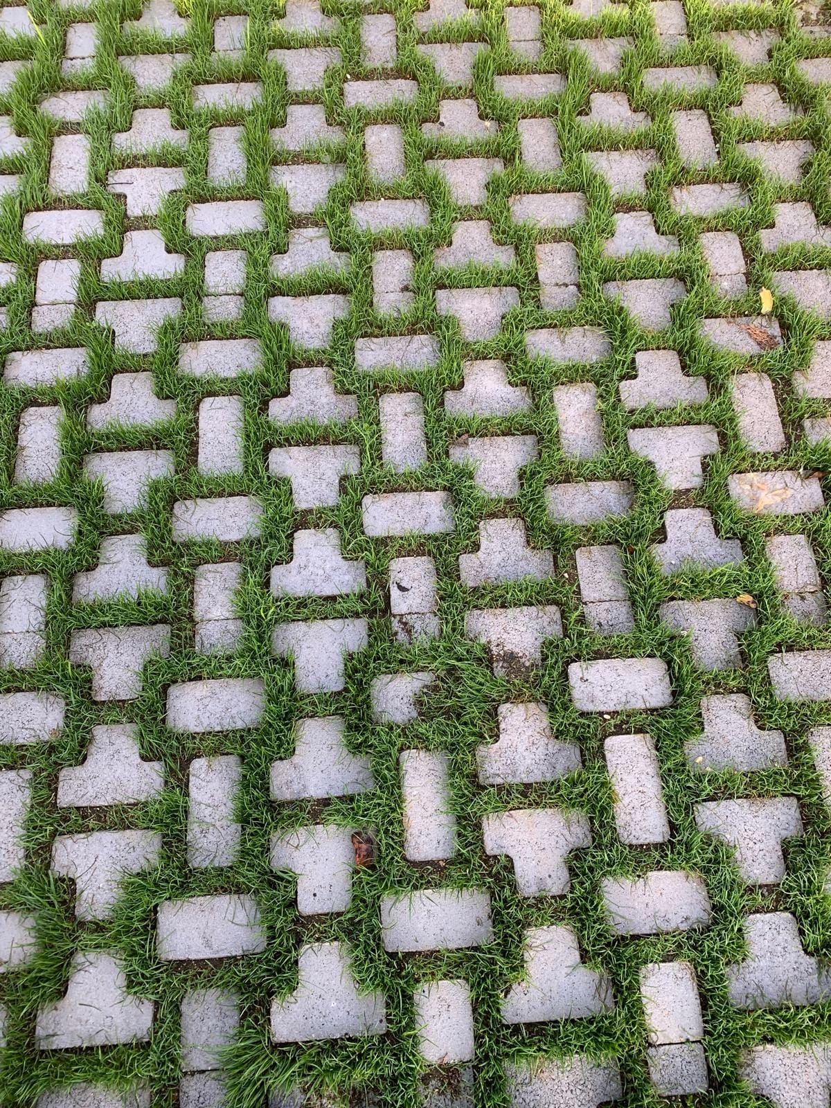 Palace Garden Centre - garden centre and landscaping in Attard, photo 18
