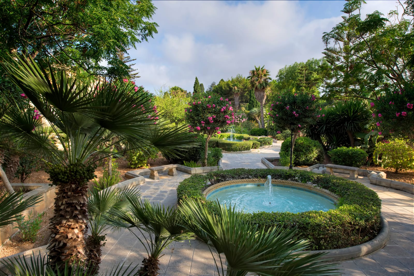 Palace Garden Centre - garden centre and landscaping in Attard, photo 7