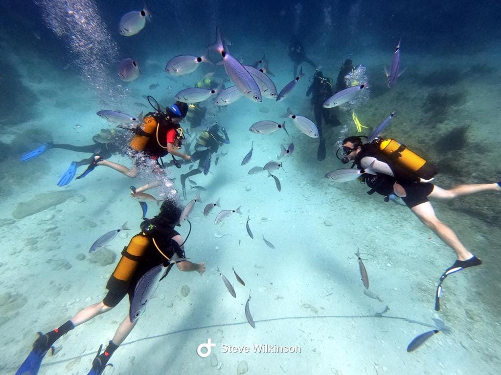Paradise Diving - padi dive school and boat diving in Mellieħa, photo 5
