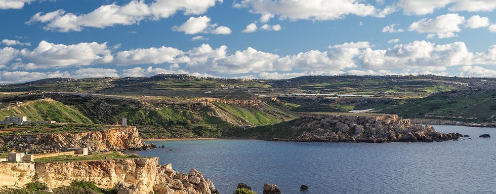 Pineapple Media - film production services in Birkirkara, photo 2
