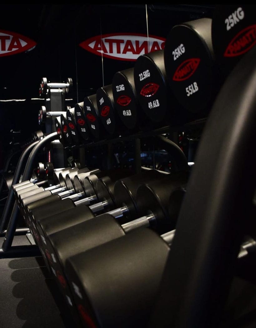 Pro Fit - gym with panatta machines in Gżira, photo 2