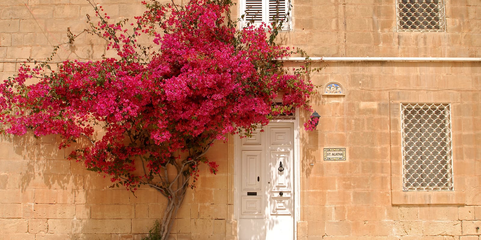 Property Malta - malta property promotion foundation in Birkirkara, photo 7