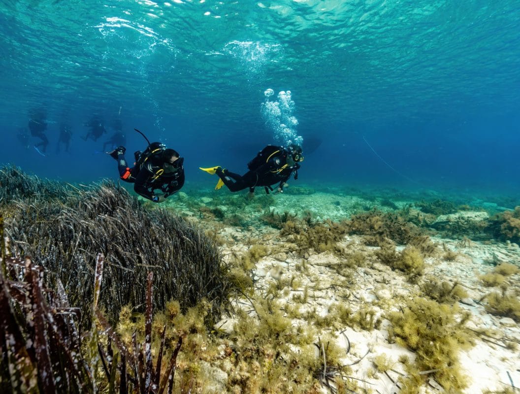 Ritual Dive - dive centre and hotel in gozo in Xlendi, photo 17